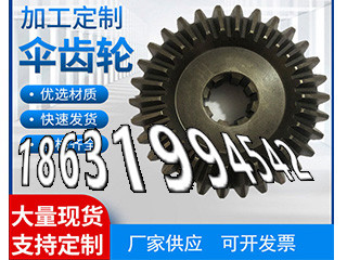 弧齿大轮全新的